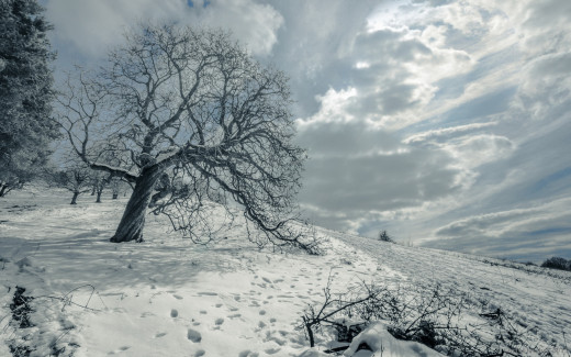 972747 (a): :1920x1200